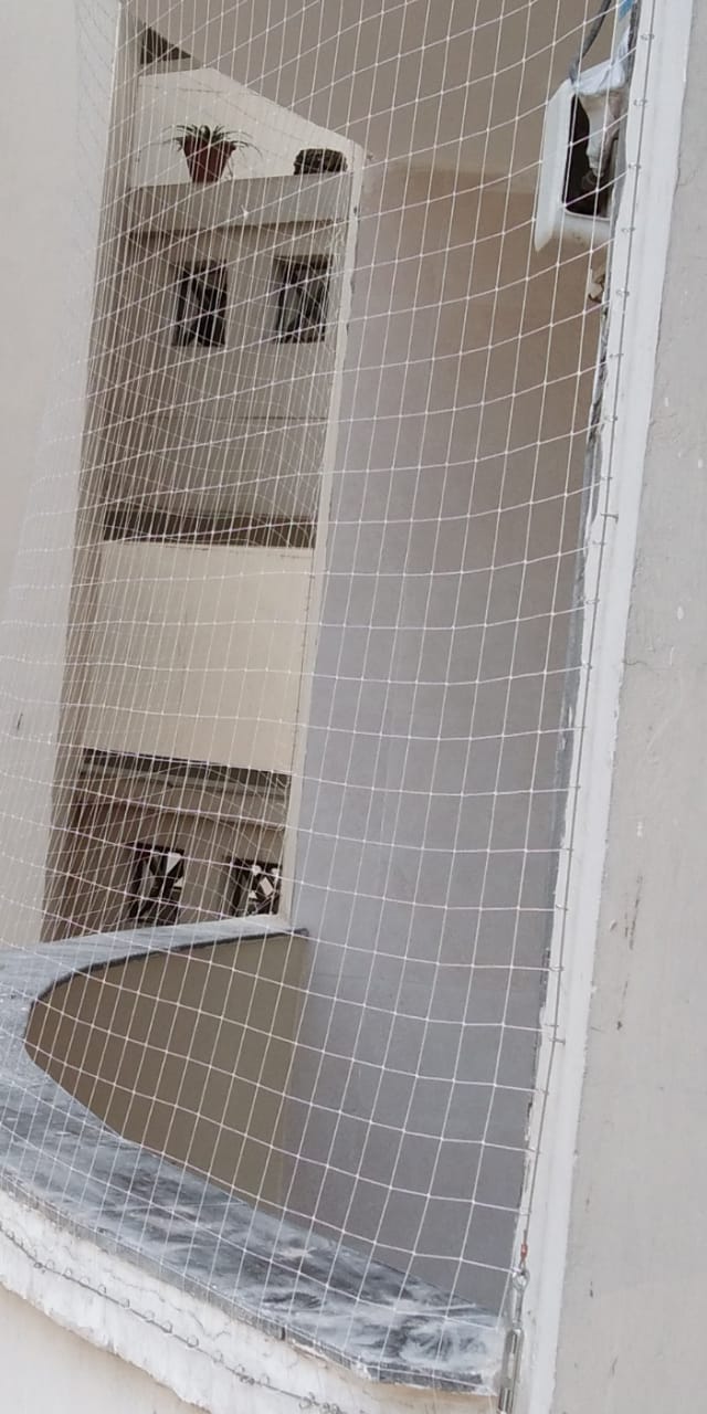 Gallery Image 8
